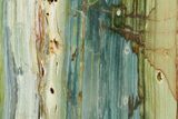 Free-Standing, Gary Green Jasper (Larsonite) Bog Wood - Oregon #334799-1